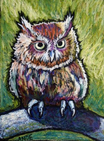 Сова пастелью
