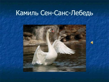 Камиль сен Санс лебедь