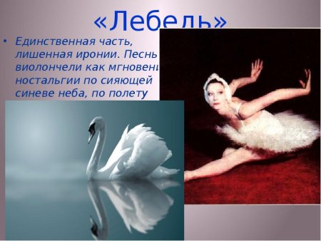 Камиль сен Санс лебедь