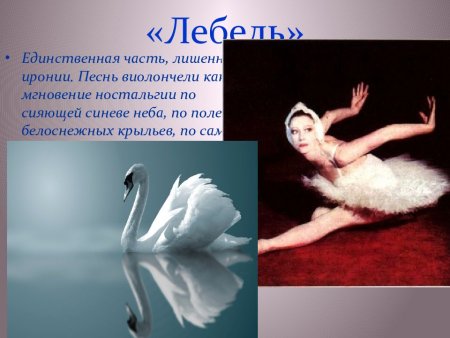 Произведение лебеди л.н Толстого