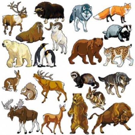 Животные Европы
