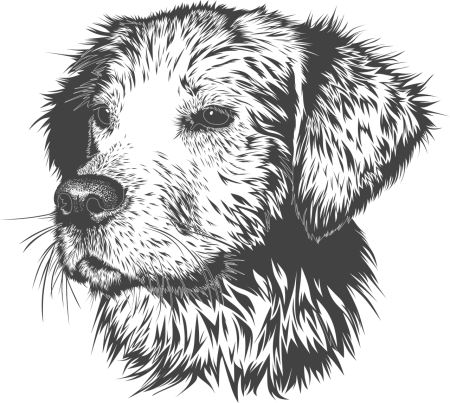 Векторные рисунки