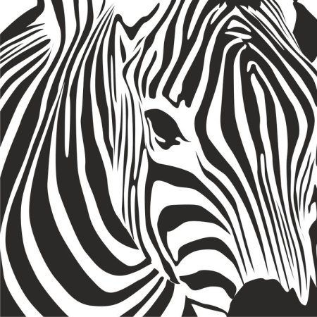 Черно белые картины