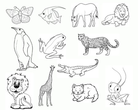Животные на одном листе