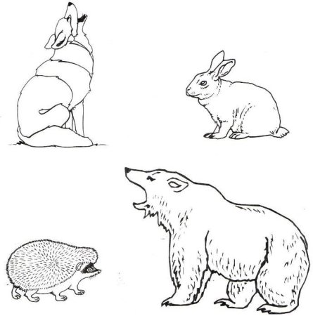 Раскраска "Дикие животные"