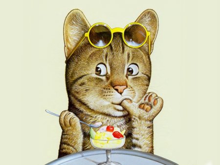 Анимационные кошки