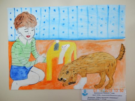 Рисунок на тему гуманное отношение к животным