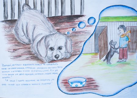 Отношение к животным рисунок