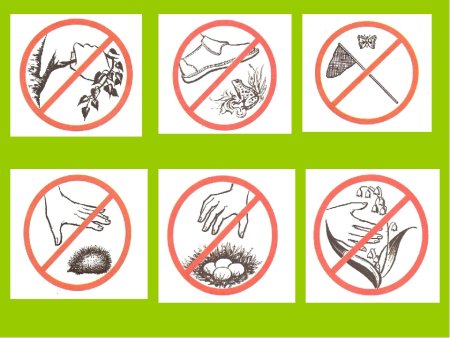 Запрещающие знаки в природе