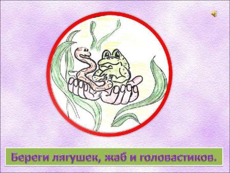 Знаки на тему охрана животных