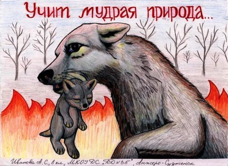 Плакат охрана животных