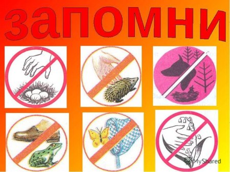 Плакат охрана природы