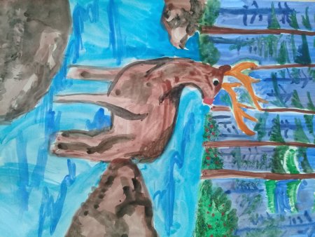 Животные нашей планеты рисунок