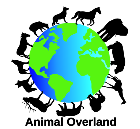 Животные вокруг планеты