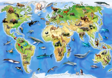 Защитим животных