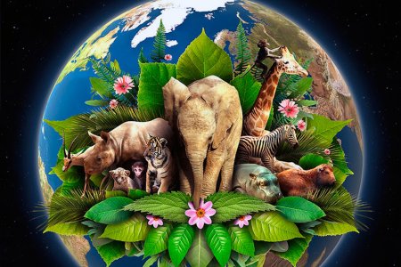 Планета с детьми и животными