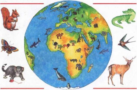 Животные иллюстрации