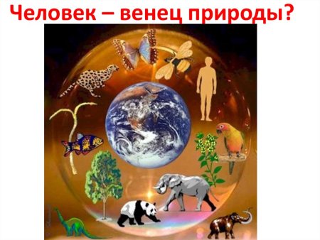 Животные земли