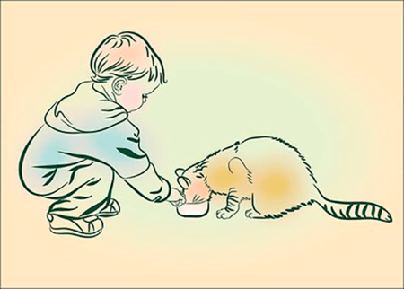 Мальчик кормит кота