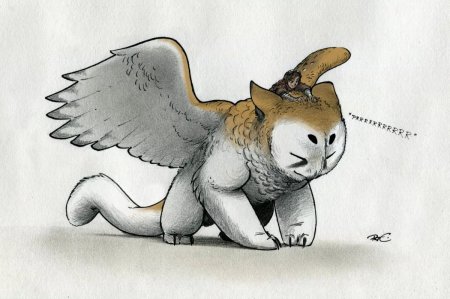 Грифон Котосова