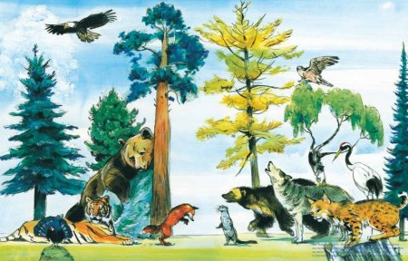 Тайга иллюстрация