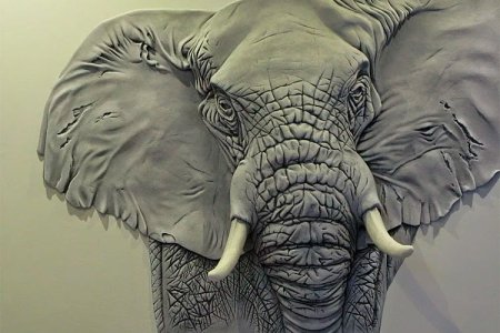 Слон рельеф