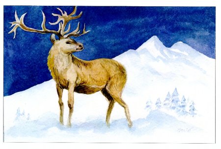 Рисование Северный олень