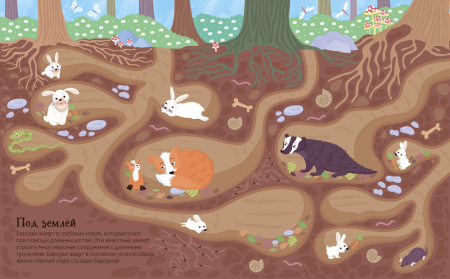 Норы животных в разрезе