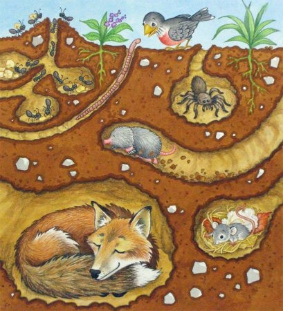 Животные которые живут в норах