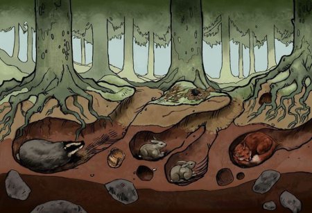 Лес под землей