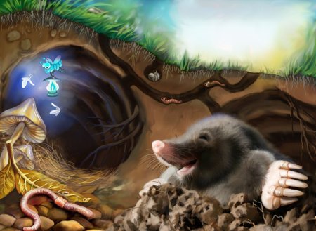 Нора крота в разрезе