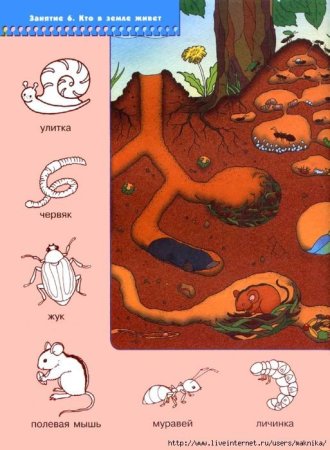Кто живет под землей для детей