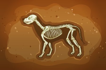 Палеонтологические раскопки вектор