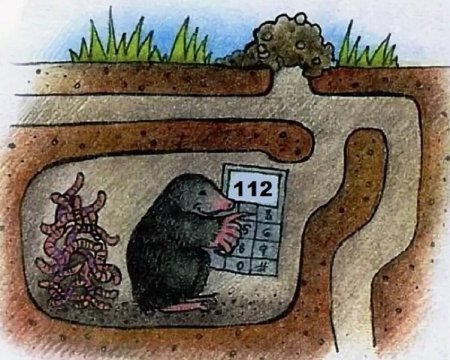 Туннель крота