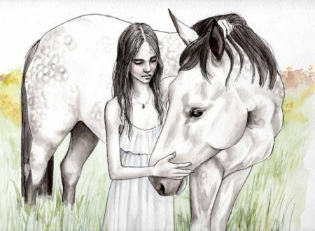 Лошадь карандашом