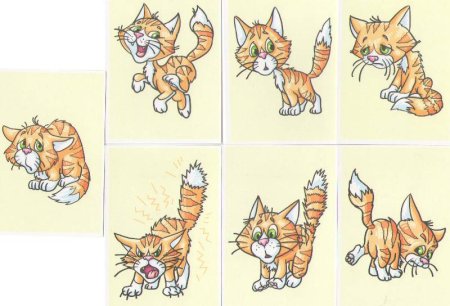 Зверюшки с разными эмоциями