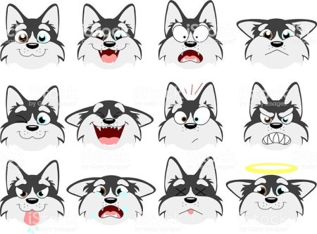 Мордашки животных для детей