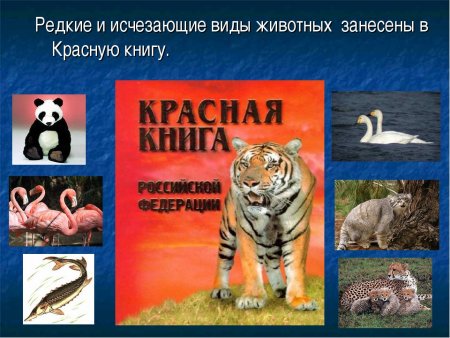 Красная книга России. Животные