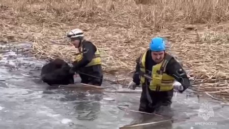 Спасатели на воде глазами детей