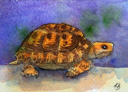 Рисованные морские обитатели черепаха