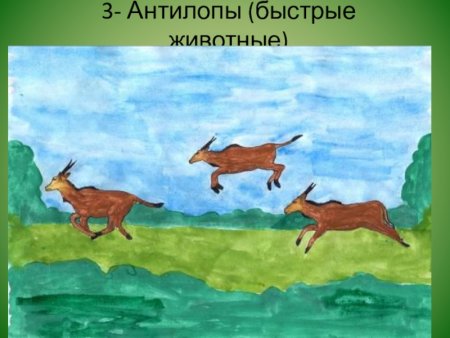 Черепаха арт