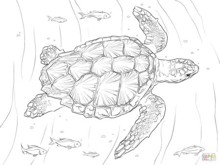 Маленький нарисованный морская черепаха