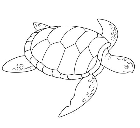 Рисуем морскую черепаху