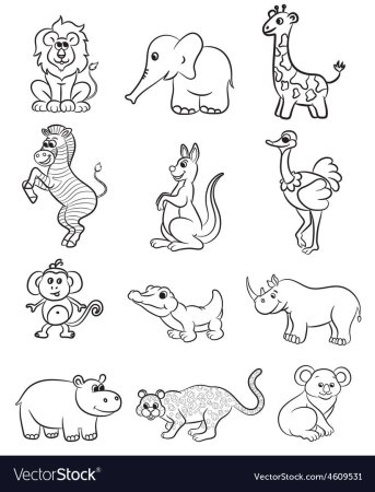 Контуры животных зоопарка