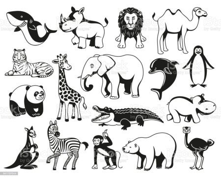 Стилизованные Дикие животные