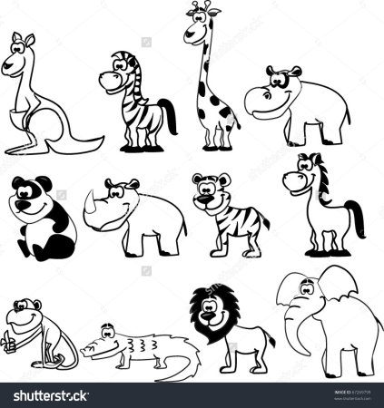 Несколько животных в черно белой