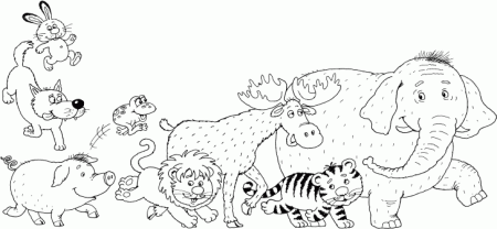 Веселые раскраски. Зоопарк