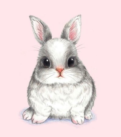 Заяц рисунок