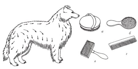 Раскраска Расчески для собак