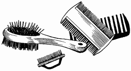 Расческа раскраска для детей